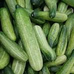 Cucumber