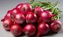 Onion